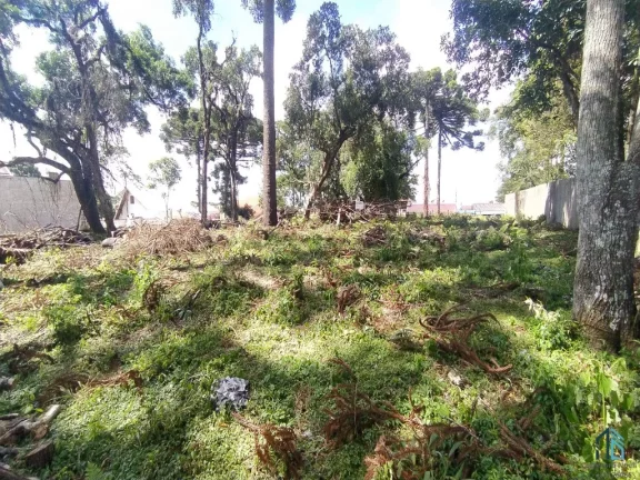 Imagem Terreno a venda 02 FRENTES, 4.750 m², no Hauer em Curitiba PR