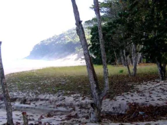 Imagem Área de 296.000 m2 - Sendo 190 mts de Frente para Praia do Simão.