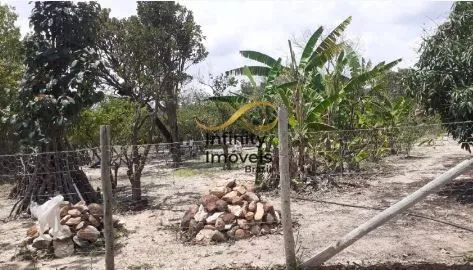 Imagem Sítio à venda no bairro Ravena - Sabará/MG