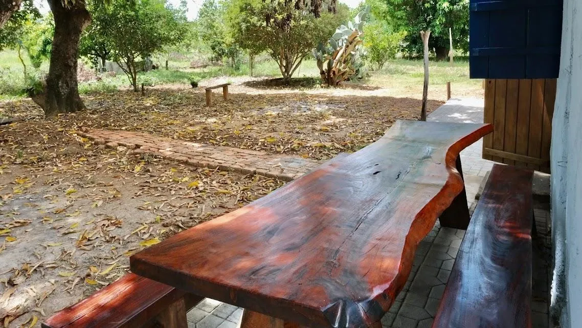 Imagem FAZENDINHA À VENDA - CURVELO (MG) 171 hectares de terra