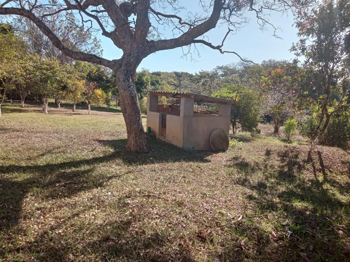 Imagem Vendo um excelente sítio na cidade de Piracema/Mg com 5 hectares de terra