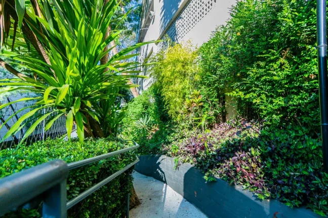 Imagem Apartamento à venda em São Paulo, Vila Andrade, com 3 quartos, 61m2