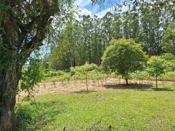 Imagem OPORTUNIDADE!!! Sítio 7.500m², Casa de madeira, Galpão, Pomar, Morro Grande