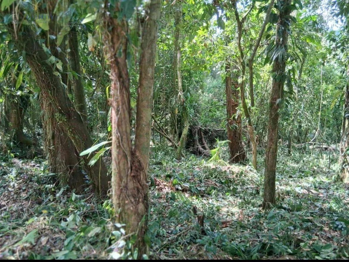 Imagem Excelente oportunidade em Ubatuba - Bairro da Figueira!