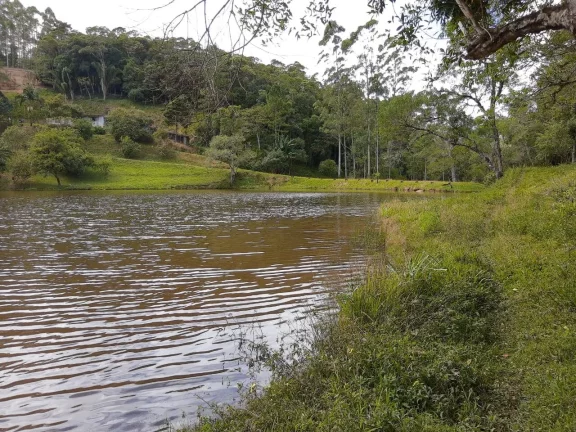 Imagem Sitio com 6 alqueires Tapiraí