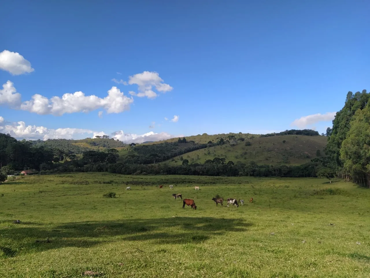 Imagem Chácara à venda 20000M², Aparição, Cunha - SP
