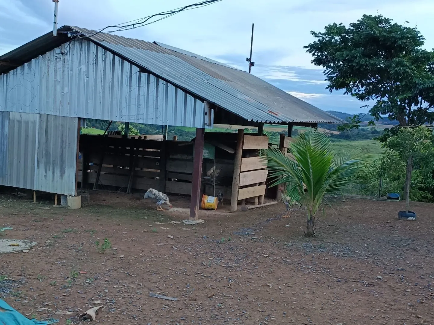 Imagem Chácara à venda, 20000 m² por R$ 430.000,00 - Área Rural de Patos de Minas - Patos de Minas/MG