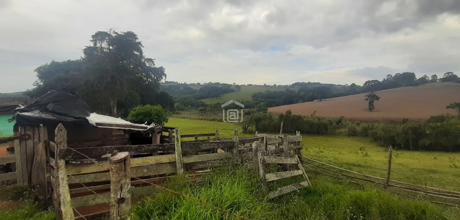 Imagem Fazenda 338,8 ha à venda em Itacolomi, Ipuiúna