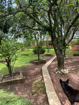 Imagem Linda Chácara a venda