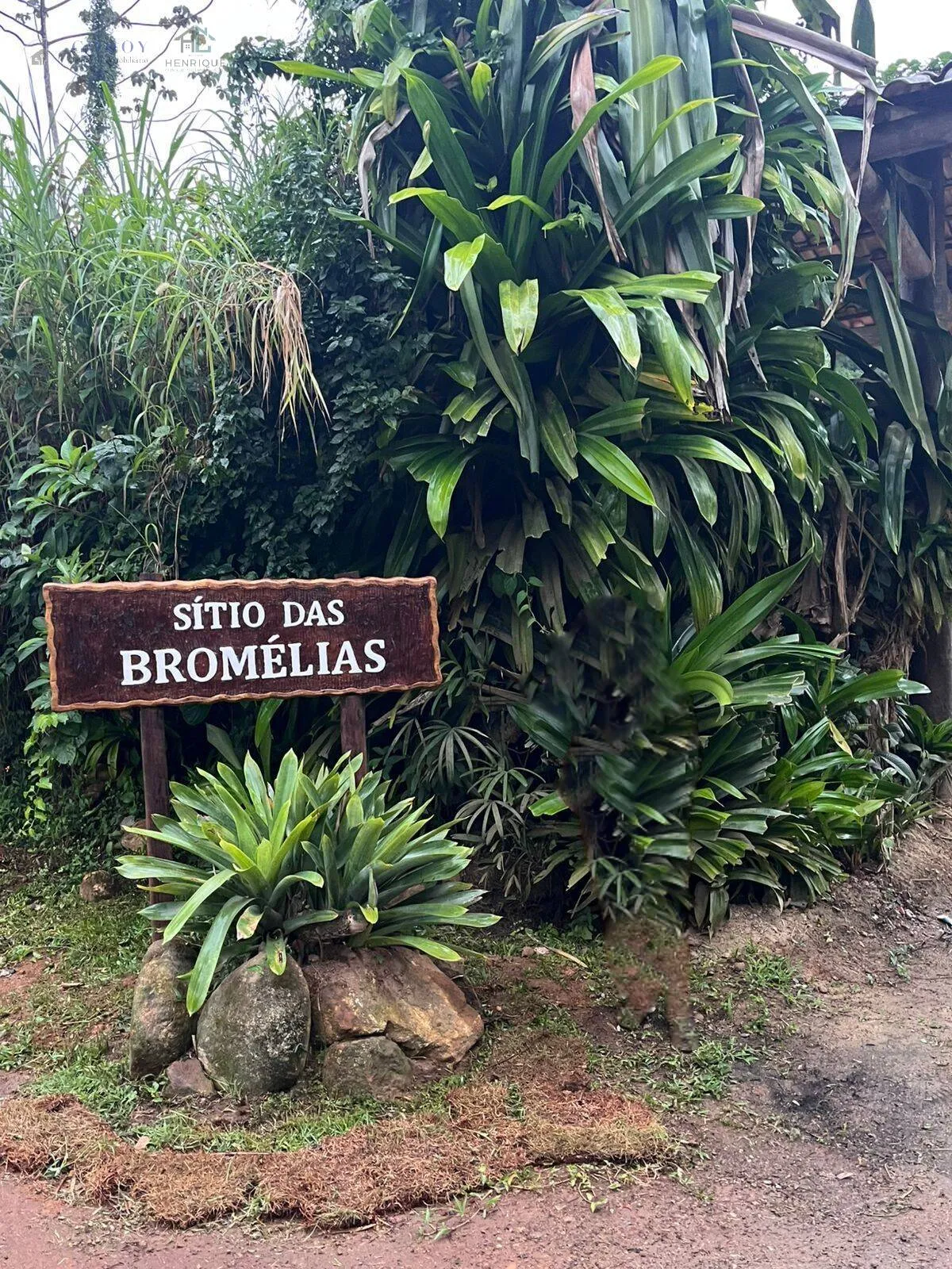 Imagem Oportunidade na Praia do Itamambuca: Frações a partir de 300 m²