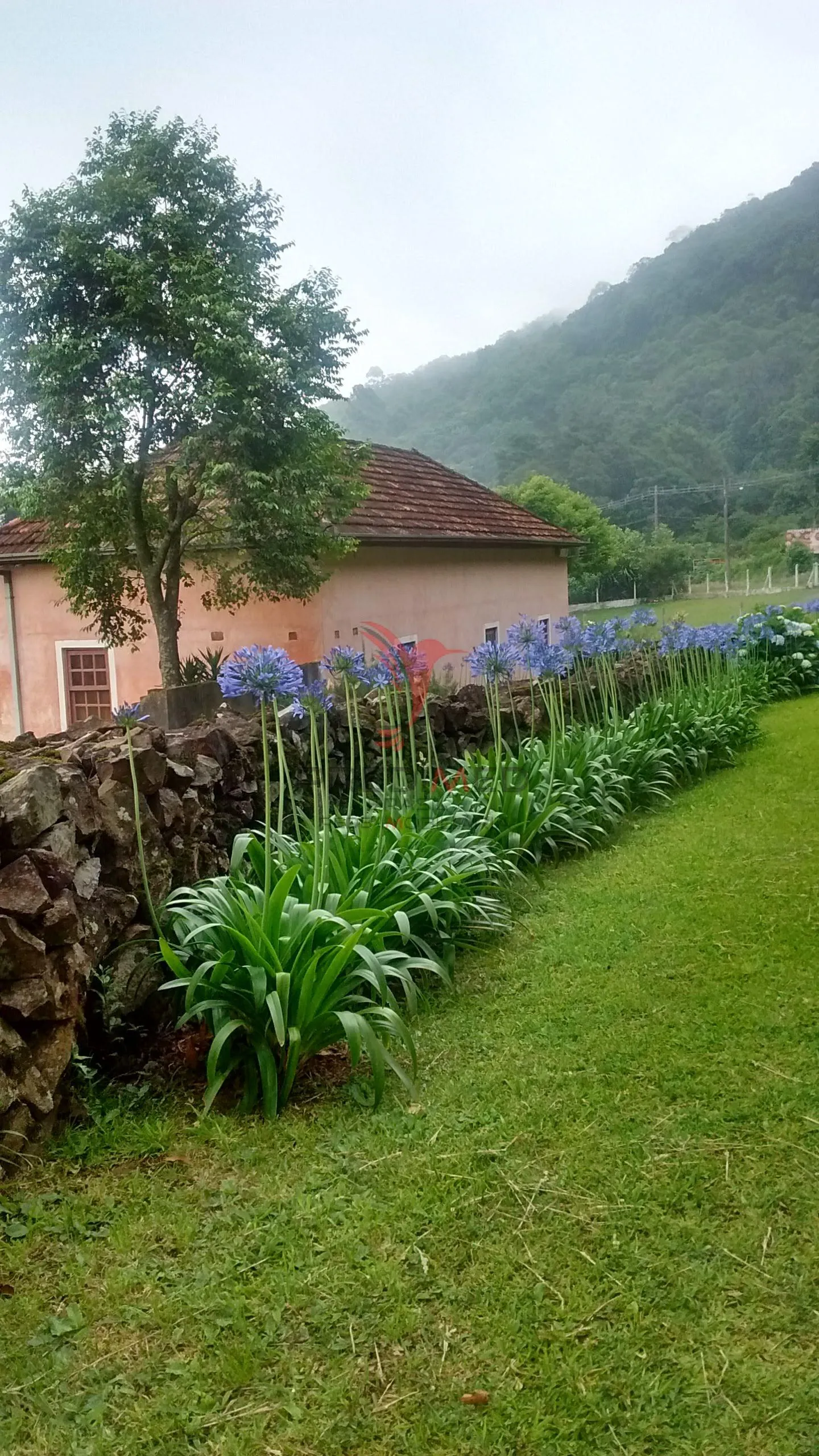 Imagem Lugar paradisíaco na cidade de Morro Reuter-RS, 5 imóveis 6,9 hectares