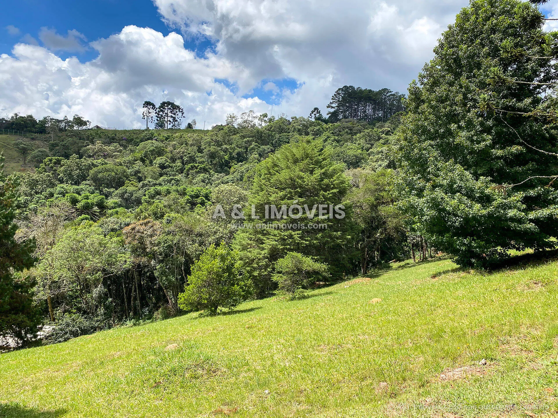 Imagem Lote em Campos do Jordão | 1.111,52 m² | Vista para o Vale