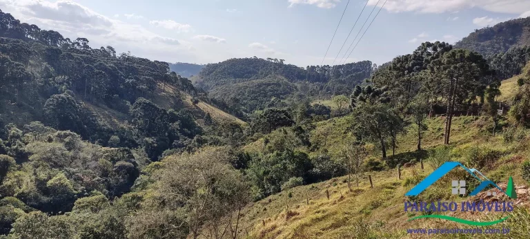 Imagem Charmoso Chalé em Gonçalves – Um Refúgio de Conforto e Beleza!