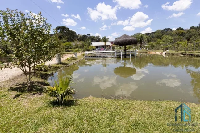 Imagem (PERMUTA) Chácara, com tanque de peixe, de várias espécies, duas casas, próximo ao centro de Contenda PR