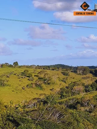Imagem FAZENDA EM MATA DE SÃO JOÃO