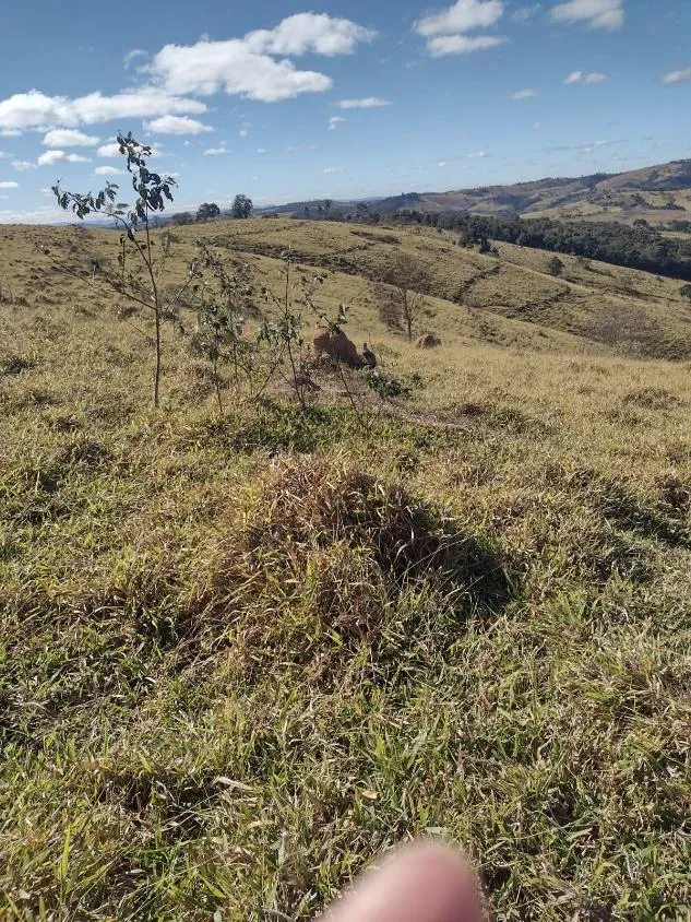 Imagem Vendo terreno em Crucilândia com 48 hectares de terra
