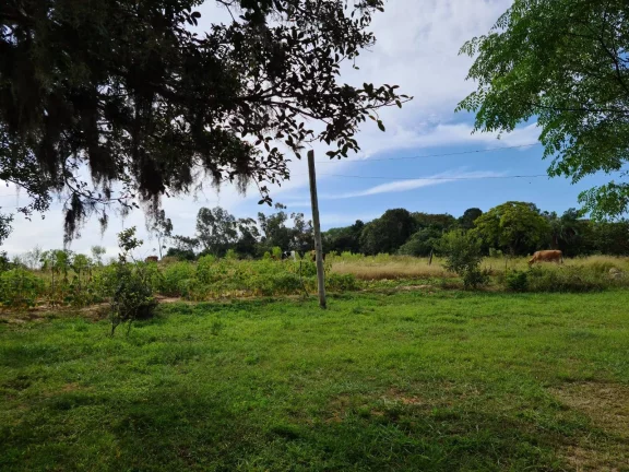 Imagem Sitio Rural com 10.8 hectares, Aguadas, Costa do Oveiro, Viamão/RS