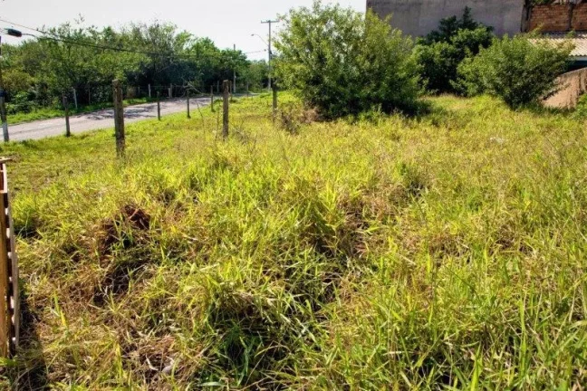 Imagem Terreno - Bairro Alto Petropolis