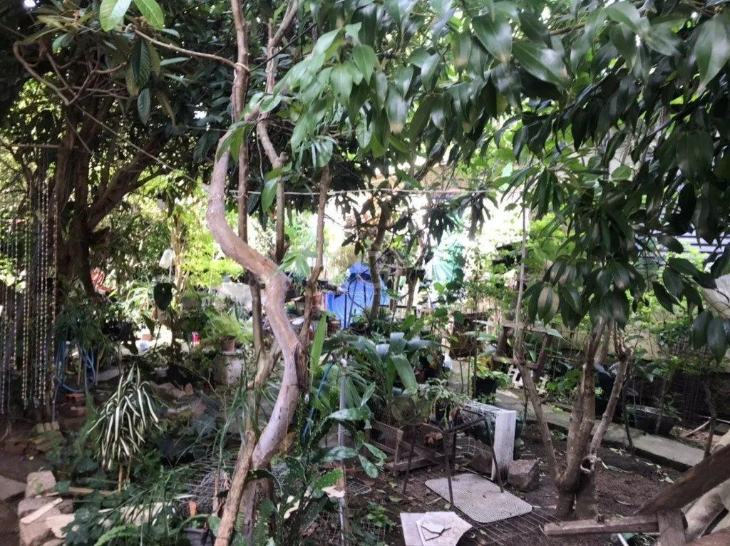 Imagem Terreno para Venda - 0m², 0 dormitórios, Tristeza