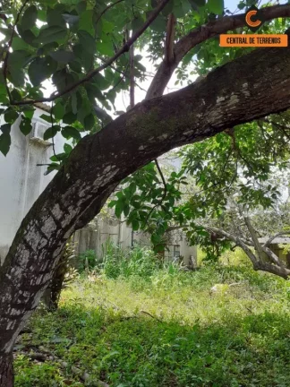 Imagem TERRENO EM LAURO DE FREITAS