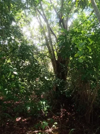 Imagem Terreno para Venda em Vera Cruz, Gamboa