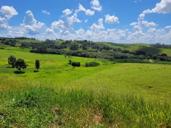 Foto do imóvel Fazenda a VENDA, Região Bauru/SP, 41 alqueires em Área Rural
