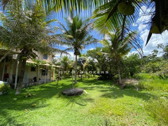 Imagem SITIO RURAL em SANTA CRUZ CABRÁLIA - BA, BR 367