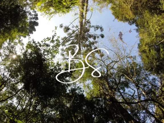 Imagem SITIO RURAL em NOVA PETRÓPOLIS - RS, Linha Pirajá Baixa