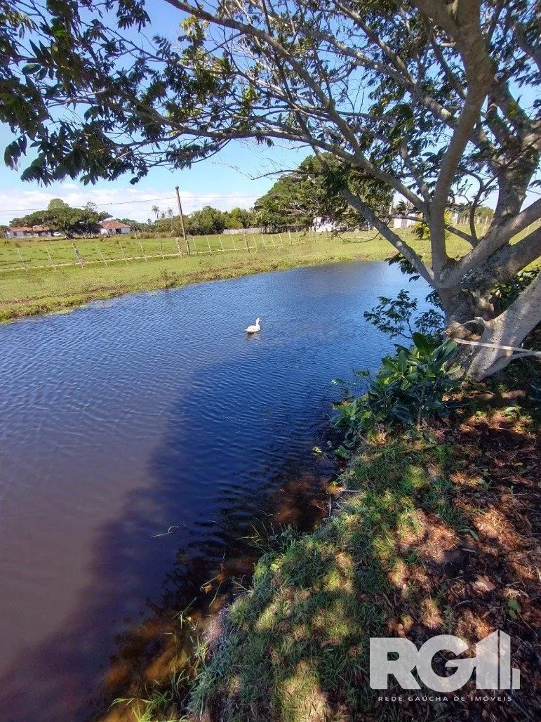 Imagem Excelente Sítio na Capital de 6.737,57 m2, Bairro Lami, Porto Alegre RS