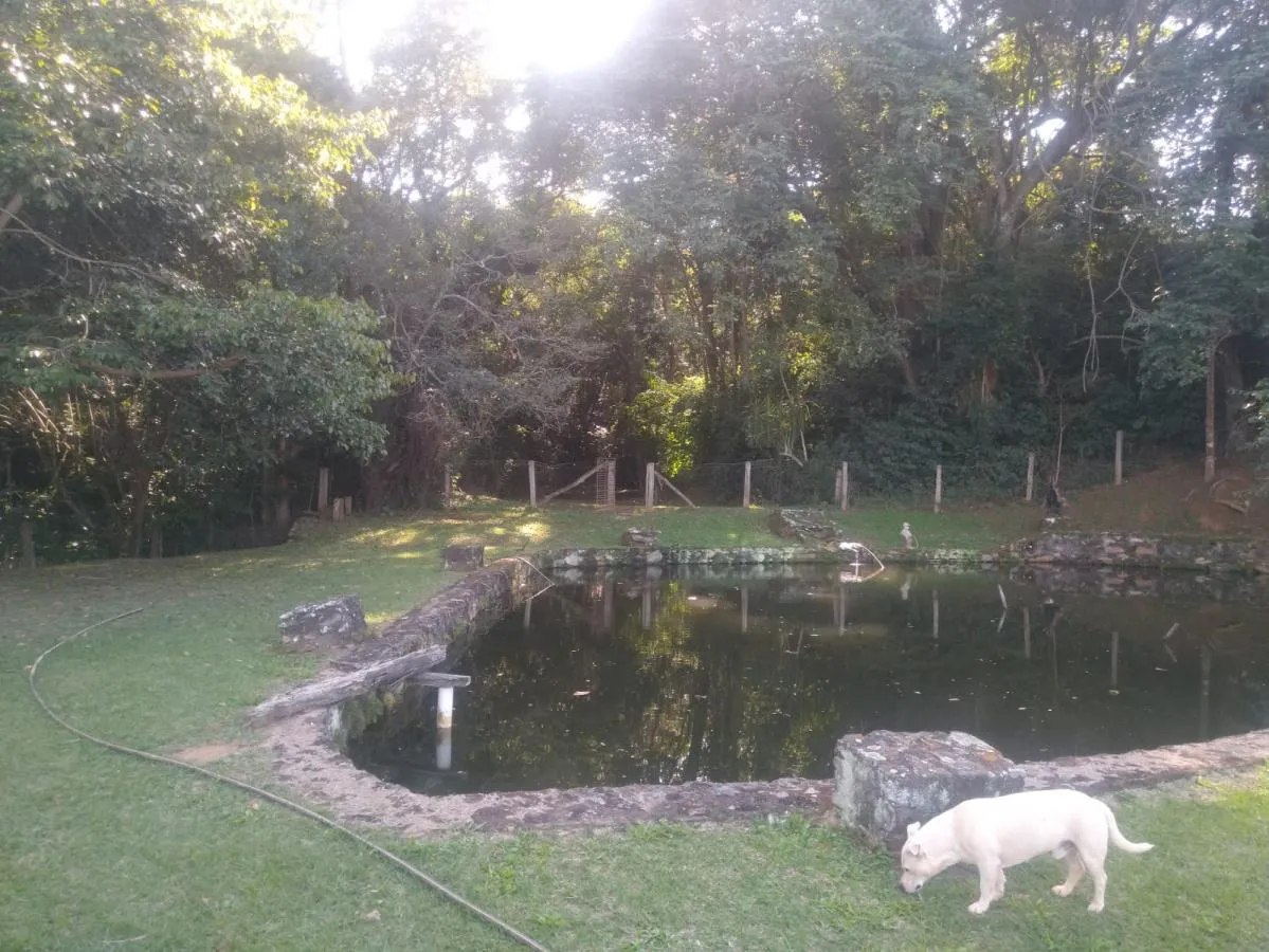 Imagem Sítio para Venda em Tuiuti, Rural, 3 dormitórios, 1 suíte, 4 banheiros, 10 vagas