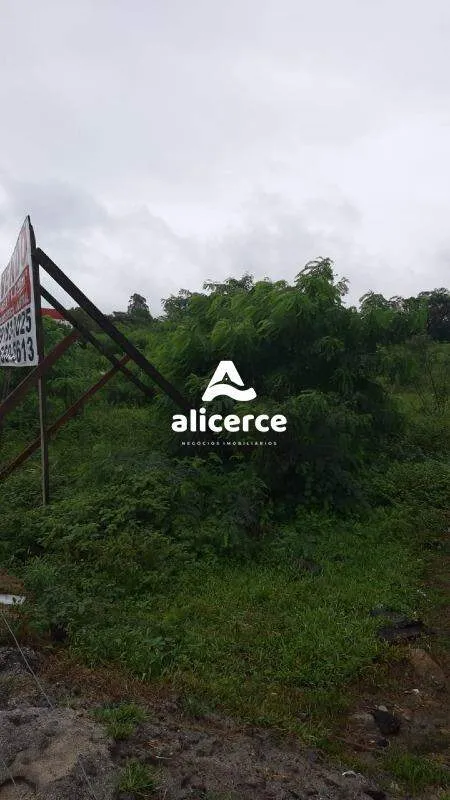 Imagem Terreno à venda com , 11.880m² em Sertão do Maruim São José