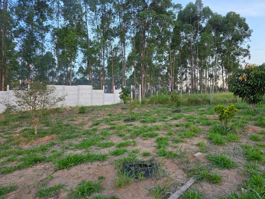 Imagem chácara belíssima a venda em Itatiaiuçu/MG , Terreno amplo com aprox. 2.500m²