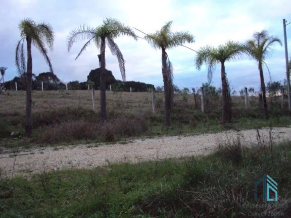 Imagem Terreno para condomínio de alto padrão, ou outros empreendimentos, em Campo Magro PR