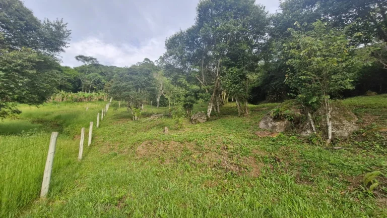 Imagem Terreno com Vista Panorâmica para o Mar à Venda no Bairro Macacu - Garopaba-SC