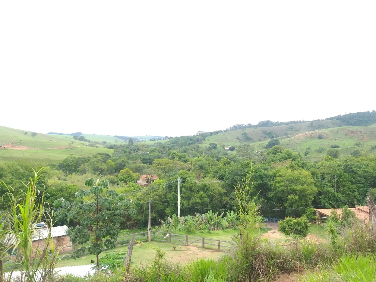Imagem Chácara à venda 2 Quartos, 6 Vagas, 6000M², Borba, Pindamonhangaba - SP