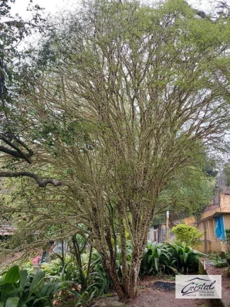 Imagem Chácara com 2 dormitórios à venda, 5500 m² - Serra da Cantareira - Mairiporã/SP