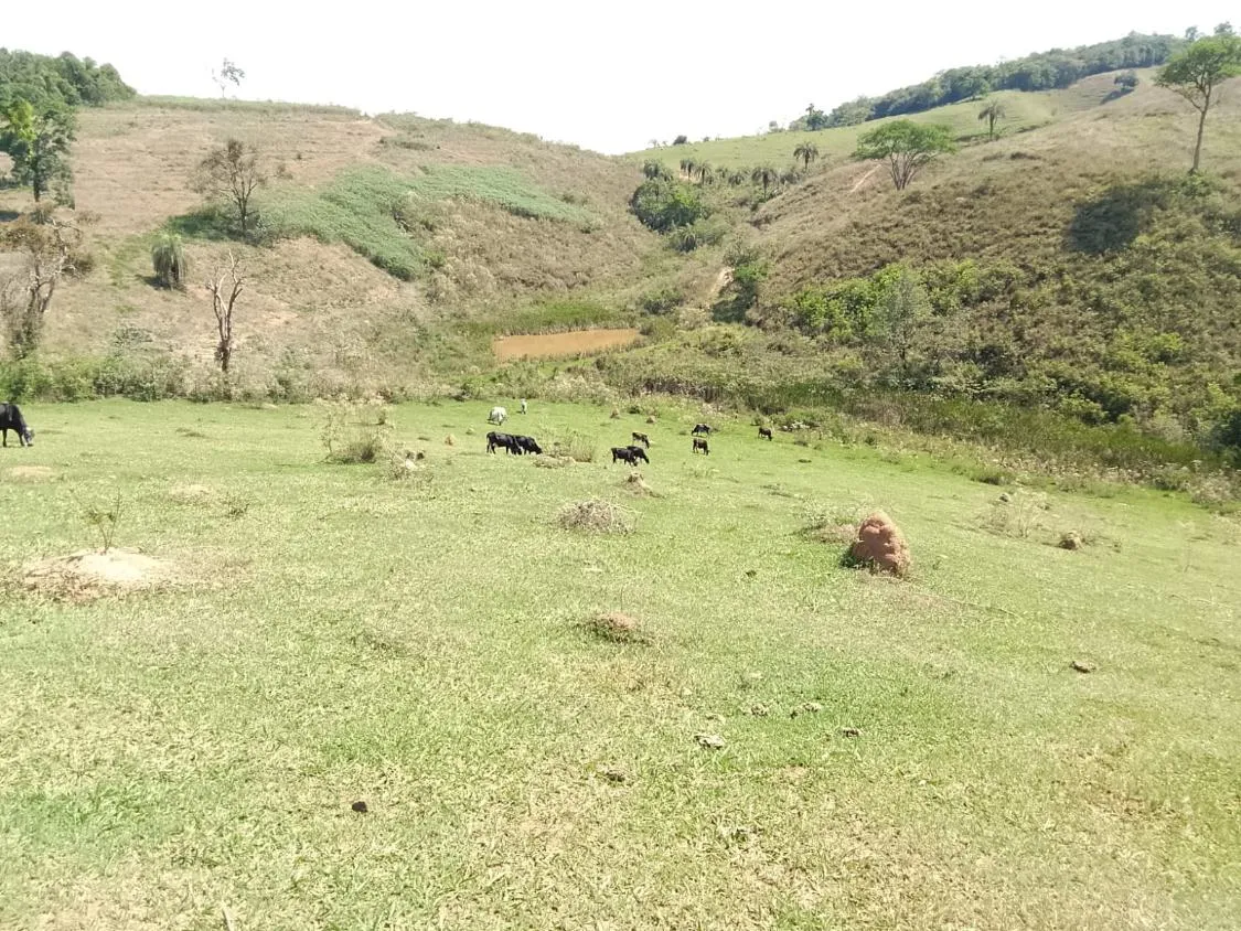 Imagem TERRENO COMPLETO COM 8 ALQUEIRES ? PRÓXIMO A RIO MANSO