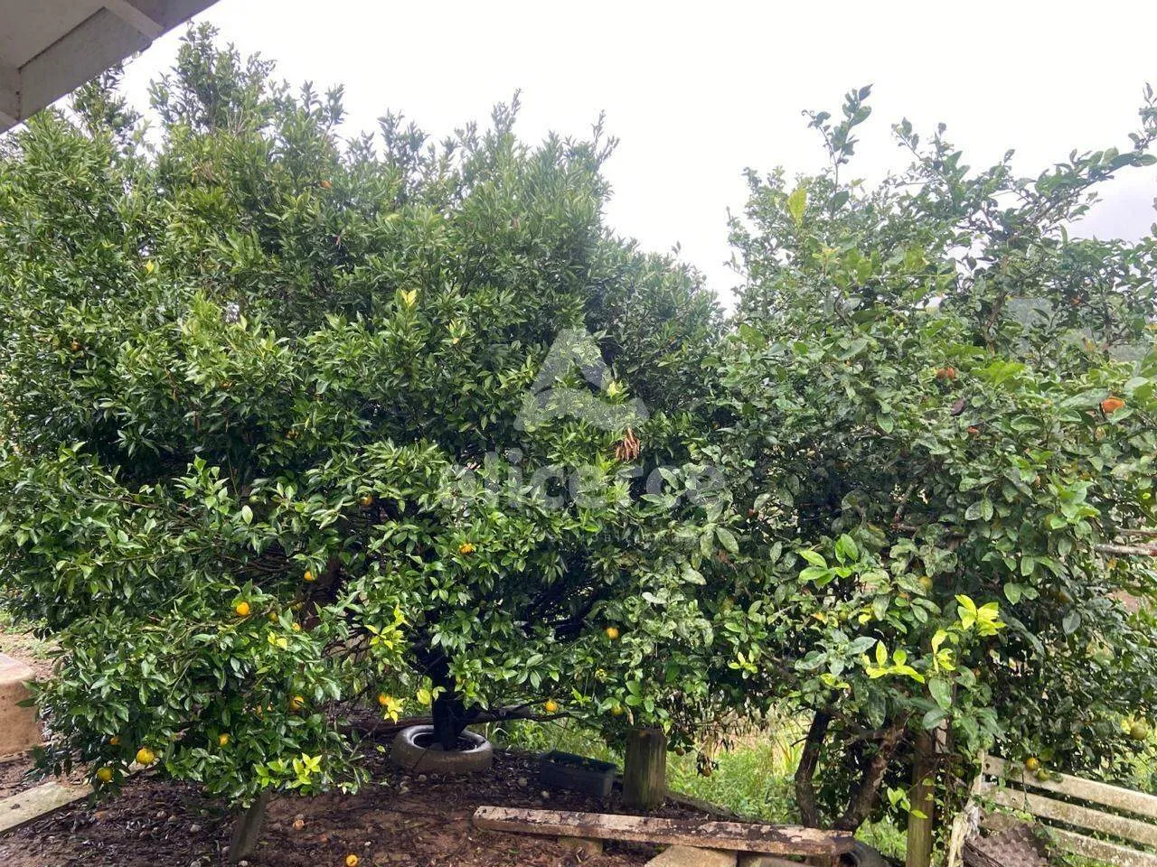 Imagem Sítio à Venda no Pagará - Santo Amaro da Imperatriz/SC