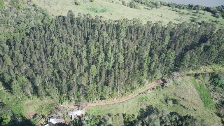 Imagem Terreno para Venda em Arabuta, Interior