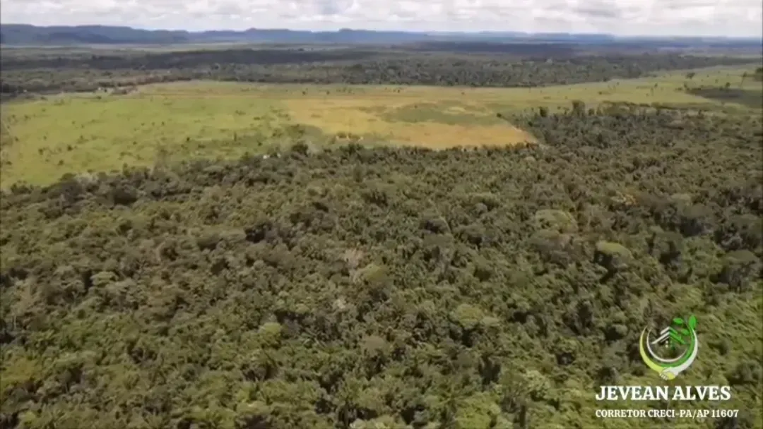 Imagem Fazenda à Venda, 1.476 HA em São Félix do Xingu - São Félix do Xingu