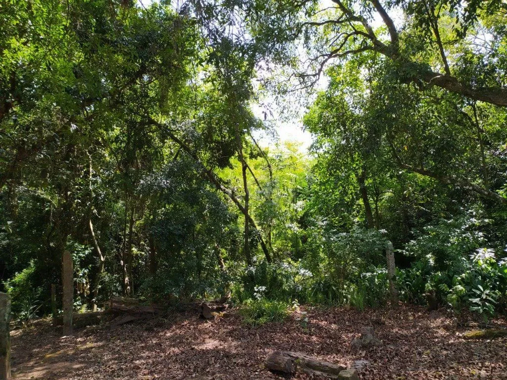Imagem Area para Venda - 0m², 0 dormitórios, Belém Velho