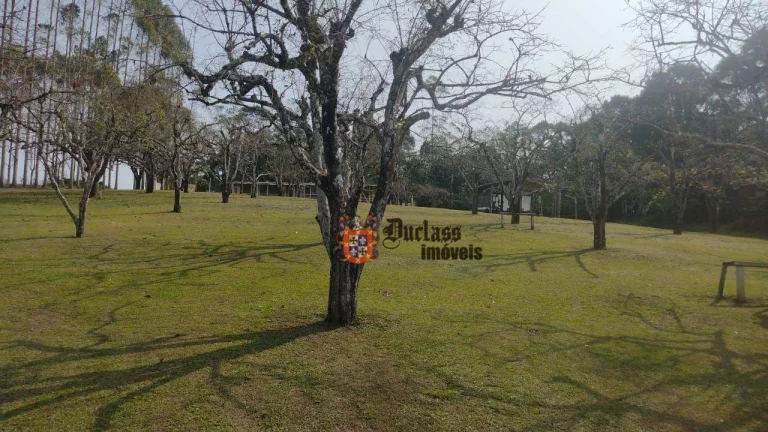 Imagem Sítio à venda, 145000 m² por R$ 1.910.000,00 - Biritiba Ussu - Mogi das Cruzes/SP