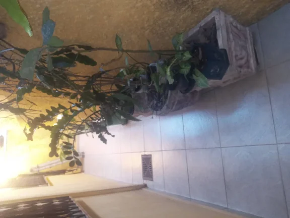 Imagem Casa com 4 Quartos e 4 banheiros à Venda, 228 m².