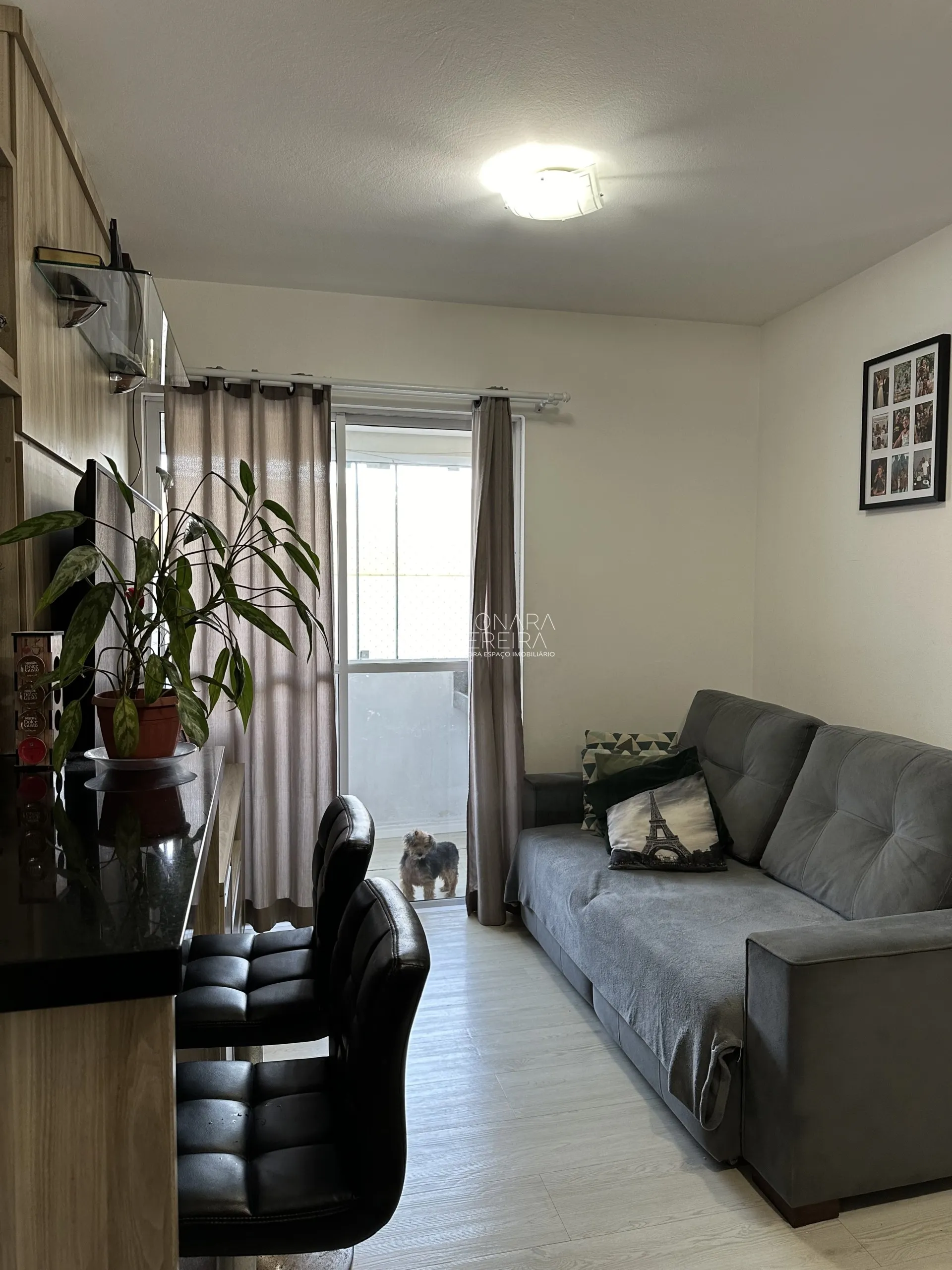 Imagem Apartamento dos sonhos!