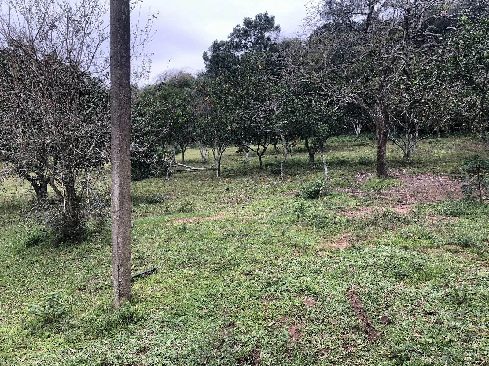 Imagem Sítio Rural de 121.672,00 M² no Bairro Belém Velho Poa-RS