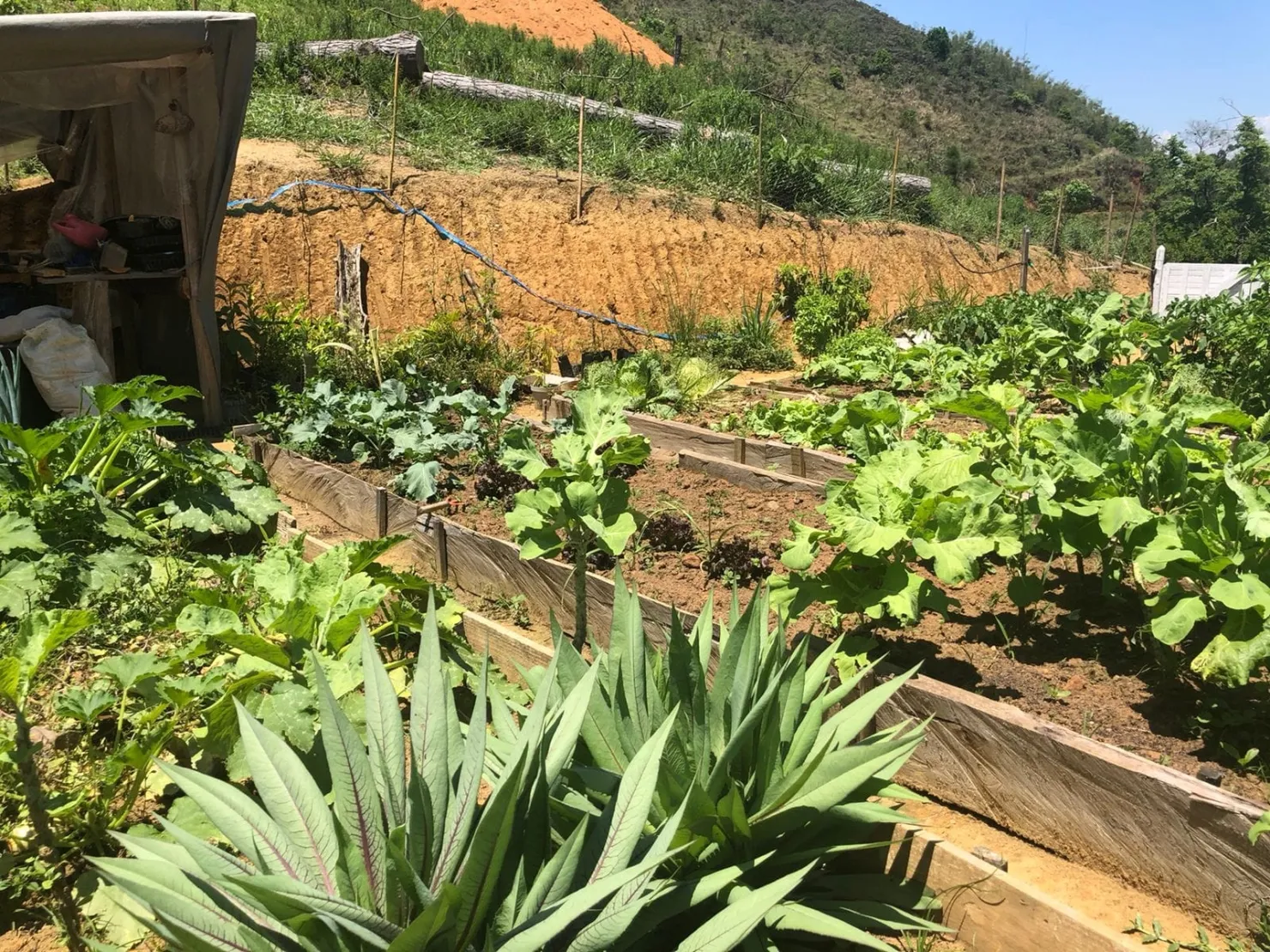 Imagem Sítio com 9 Alqueires em Ribeirão Grande com Abundância de Água