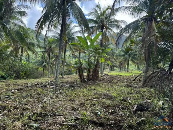 Imagem Terreno com 1100m2 à Venda Próximo a Figueira Café em Jaboti - Guarapari/ES