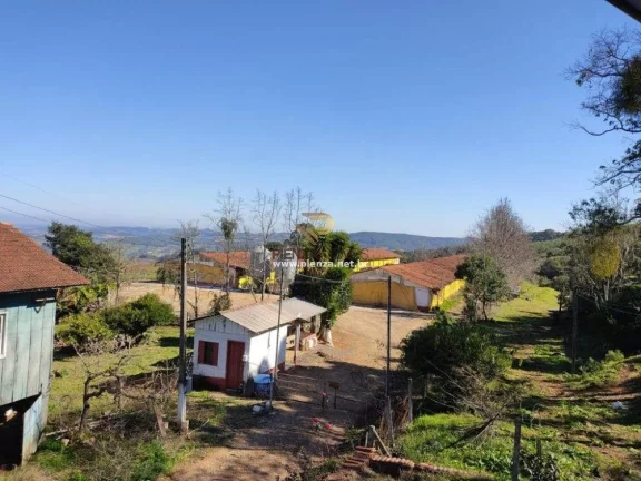 Imagem Granja para Venda em Ipumirim, Interior