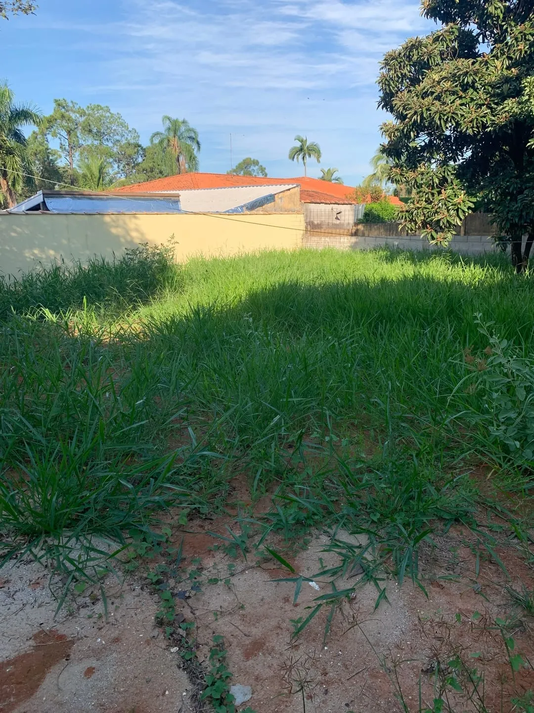 Imagem Casa à venda e locação 3 Quartos, 1 Suite, 6 Vagas, 720M², Jardim Residencial Doutor Lessa, Pindamonhangaba - SP