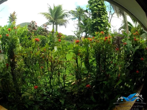 Imagem Casa com lindo quintal + Edicula - área total 1.080 m² - Pereque Mirim